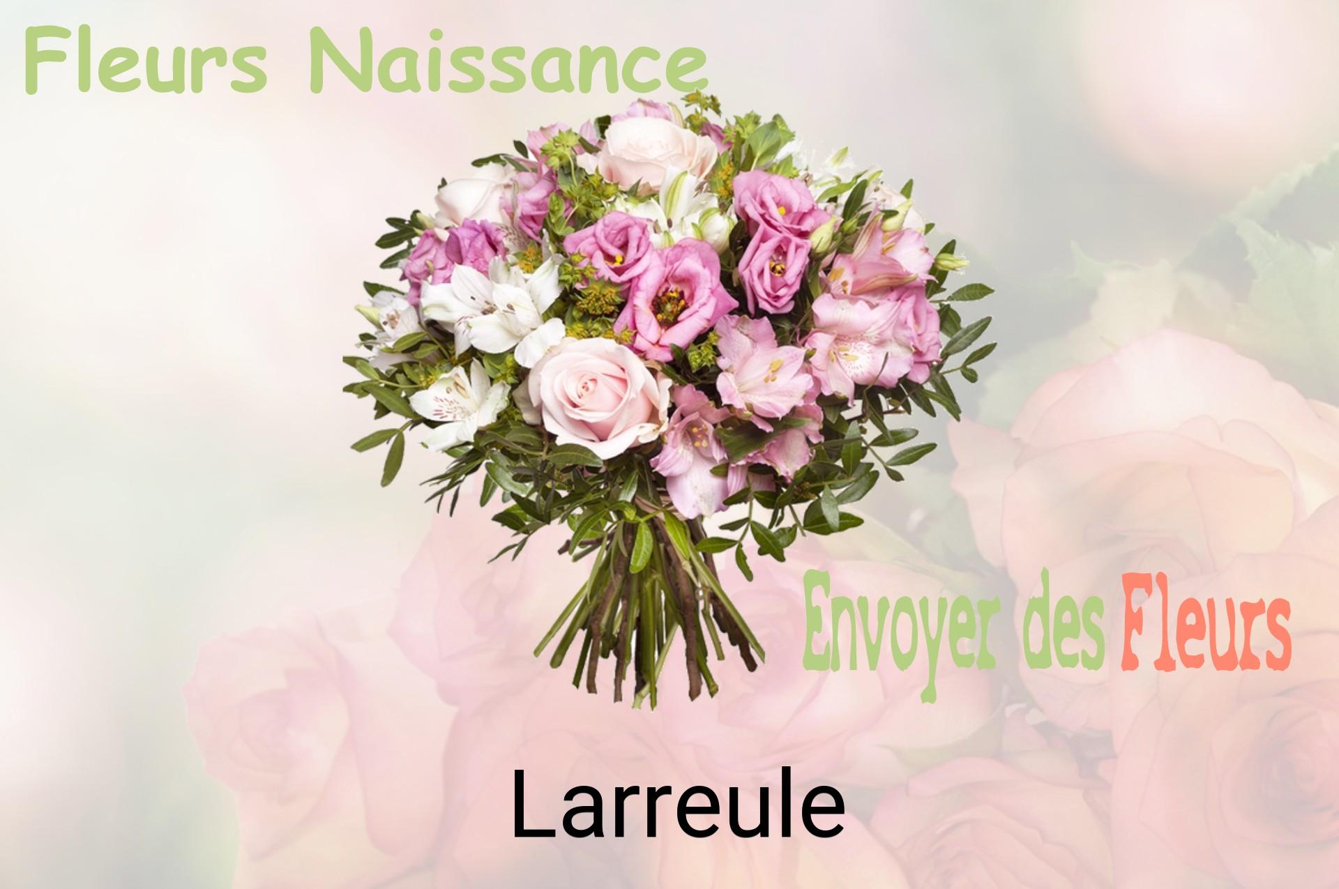 Bouquet de fleurs de naissance livré à Larreule